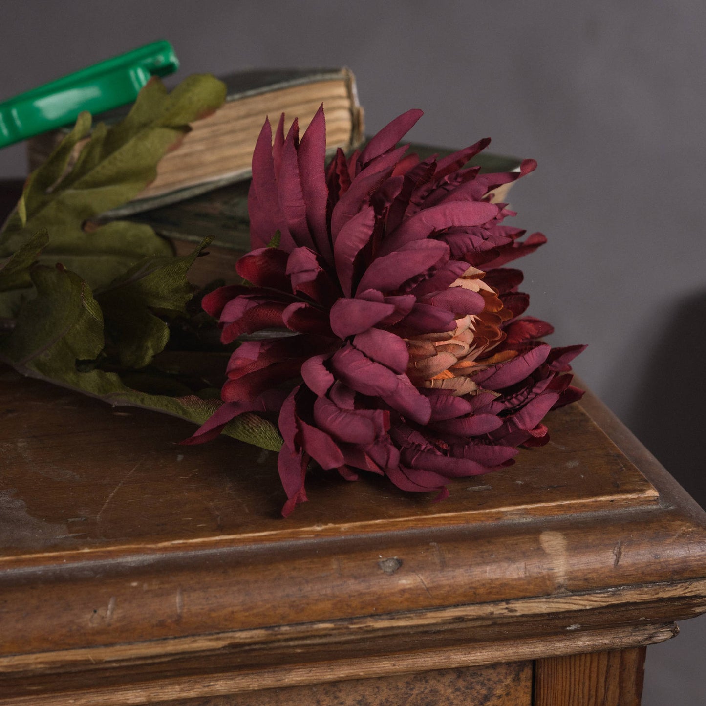 Red spider chrysanthemum with intricate, spindly petals and an ombre effect, resting on a wooden surface next to books.