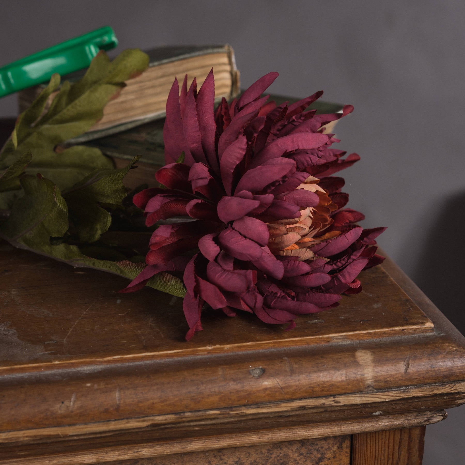 Red spider chrysanthemum with intricate, spindly petals and an ombre effect, resting on a wooden surface next to books.