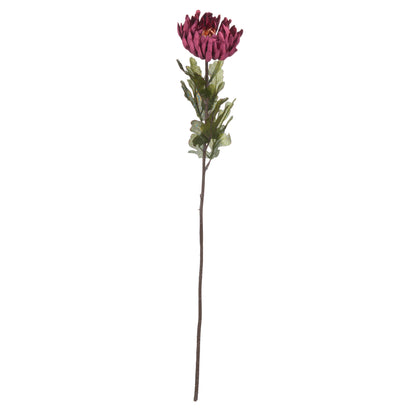 Autumn Spider Chrysanthemum - Autumn Stems from the Quanta Home collection.