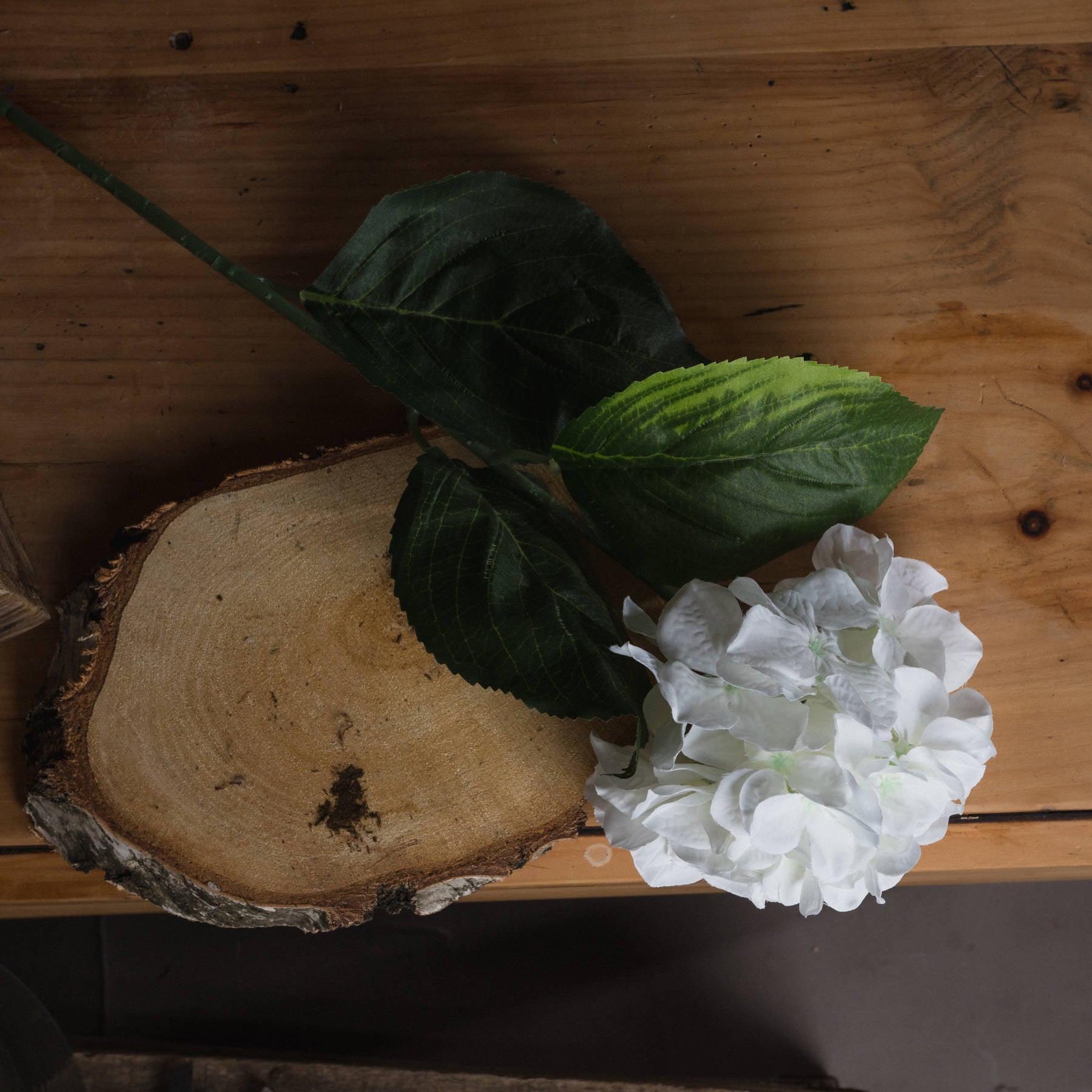 Single stem white hydrangea with lush green leaves, elegantly displayed on a wooden slab, showcasing refined simplicity.