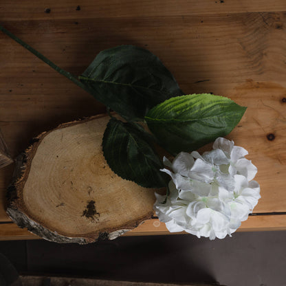 White Small Head Hydrangea - Single Stem Flowers from the Quanta Home collection.