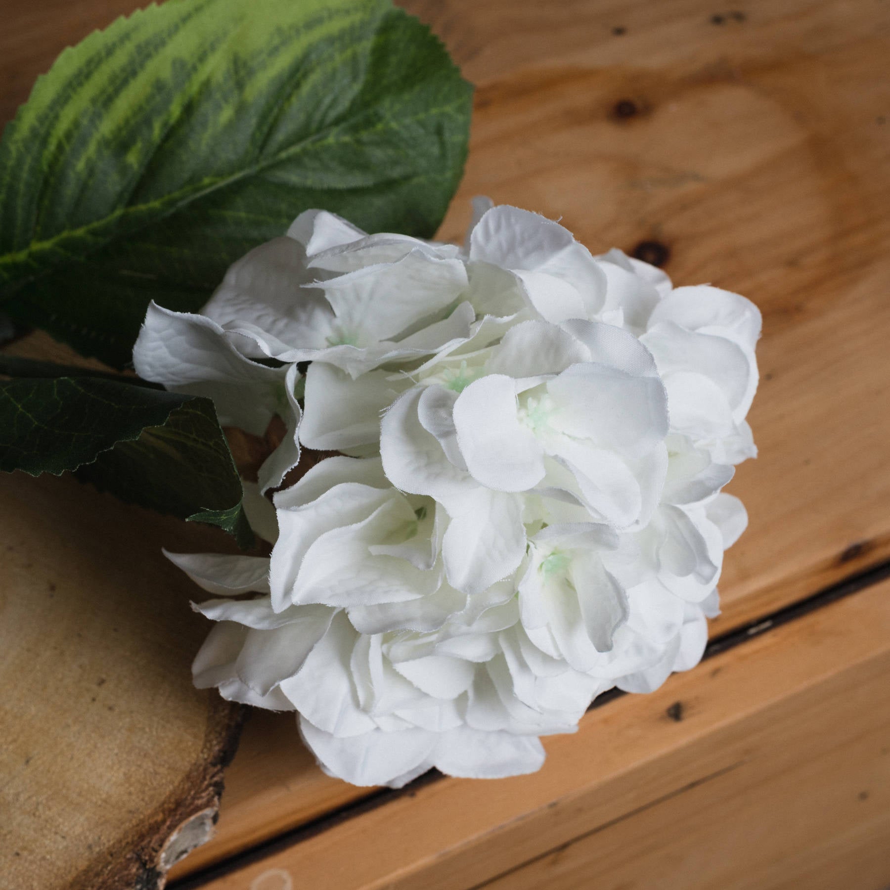 Single stem white hydrangea with delicate petals and green leaves, resting on a wooden surface, exuding refined elegance.