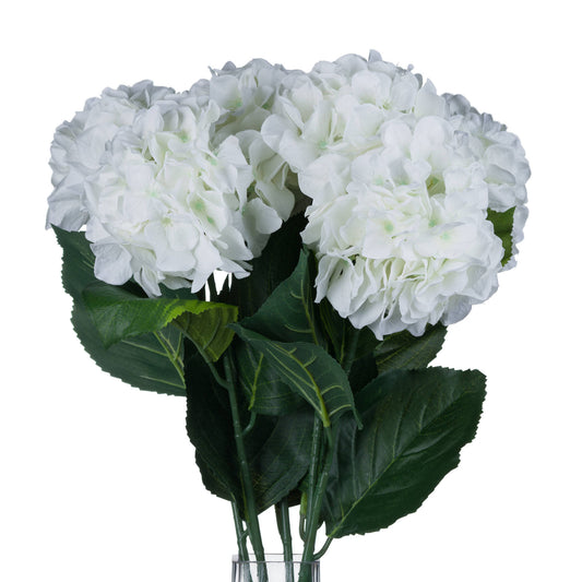Single stem white hydrangea with delicate petals and lush green leaves, showcasing elegant sophistication for home decoration.