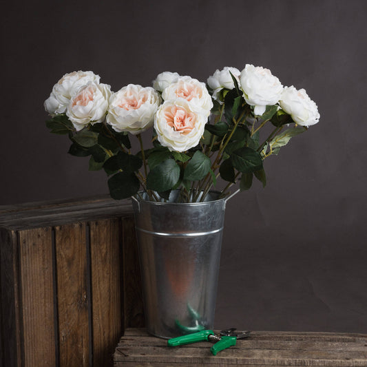 Blush Garden Rose - Single Stem Flowers from the Quanta Home collection.