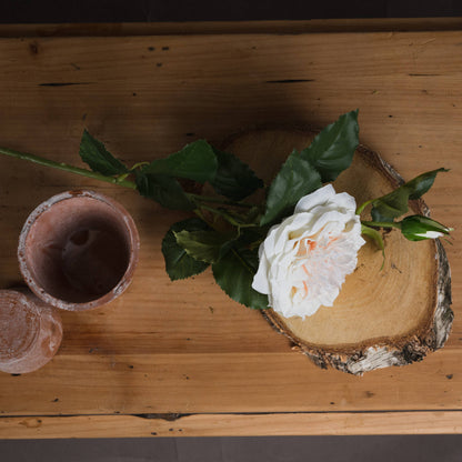 White Garden Rose Spray - Single Stem Flowers from the Quanta Home collection.