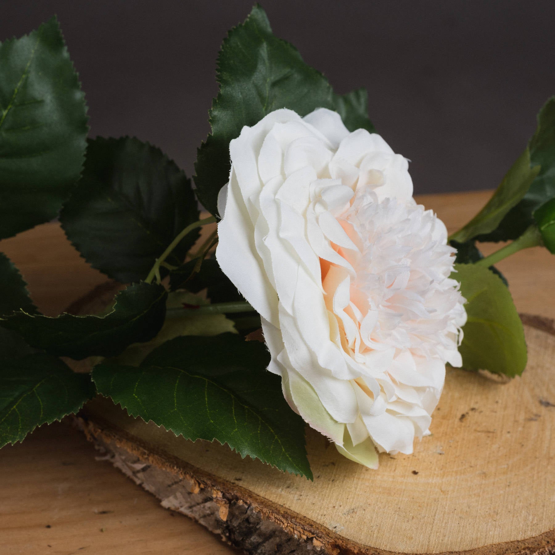 Artificial white garden rose with delicate ivory petals, surrounded by green leaves, resting on natural wood.
