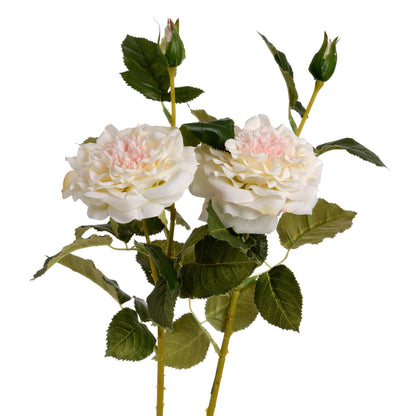 White Garden Rose Spray - Single Stem Flowers from the Quanta Home collection.