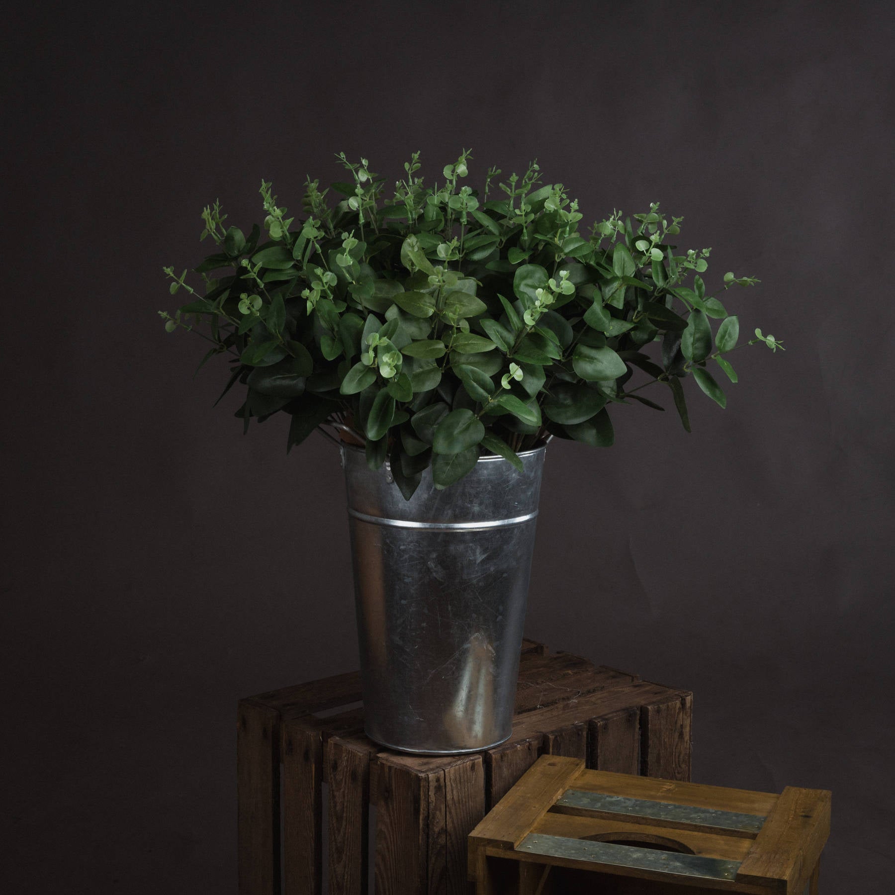 Lifelike Cineraria Eucalyptus spray in dark green leaves, arranged in a silver metal pot, perfect for stylish home decor.