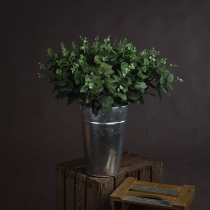 Cineraria Eucalyptus Spray - Single Stem Flowers from the Quanta Home collection.