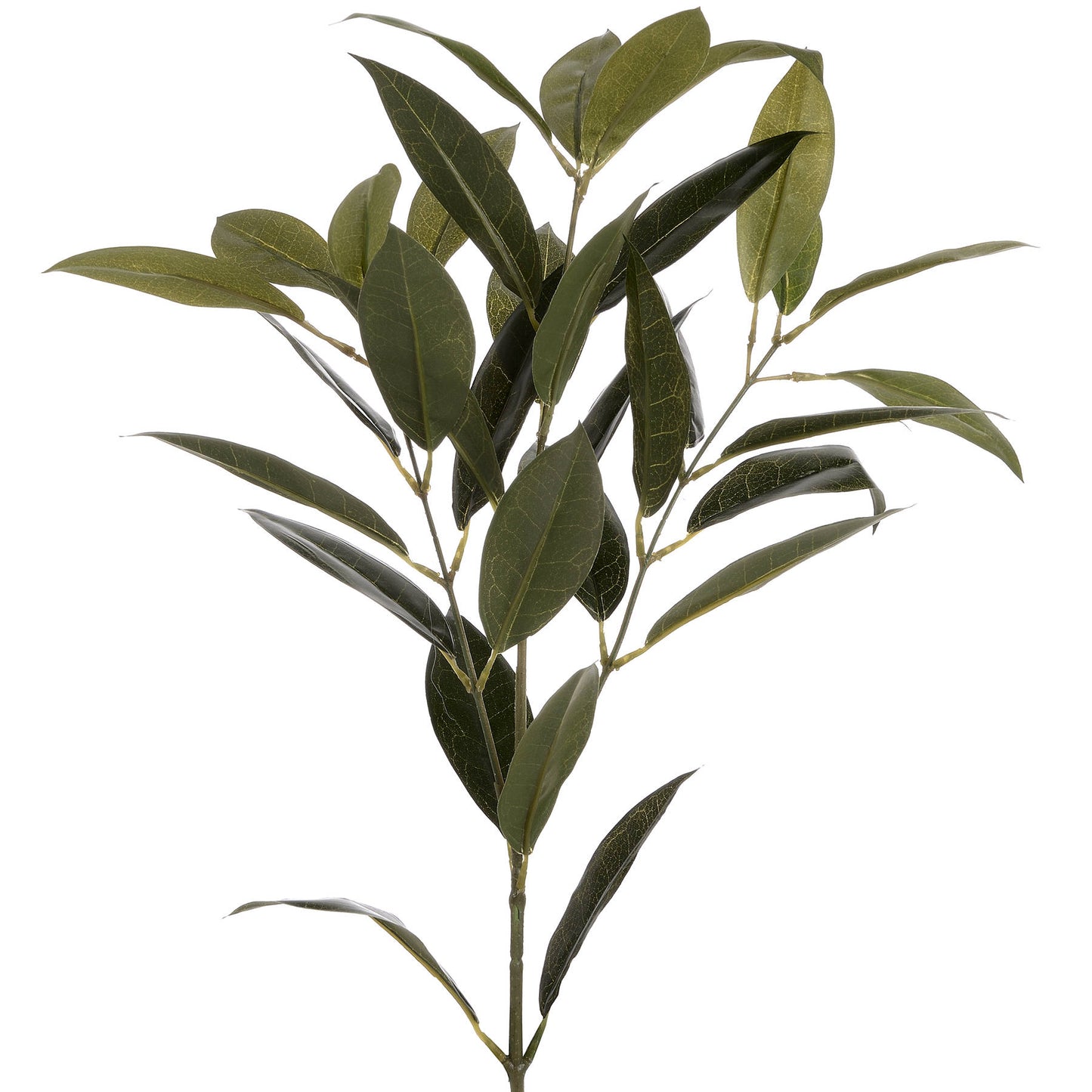 Faux Bay Leaf Spray - All Artificial Flowers from the Quanta Home collection.
