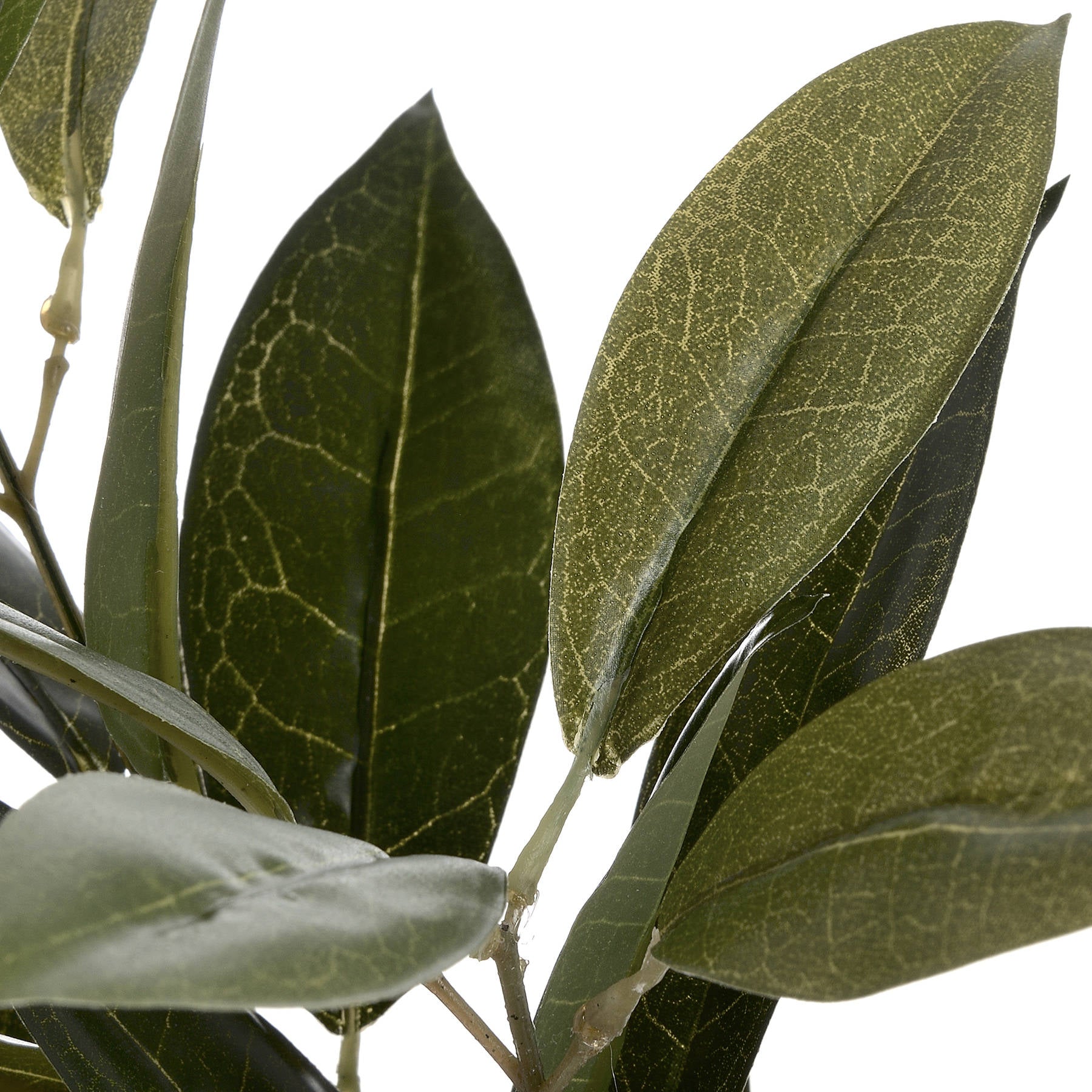 Faux Bay Leaf Spray - All Artificial Flowers from the Quanta Home collection.