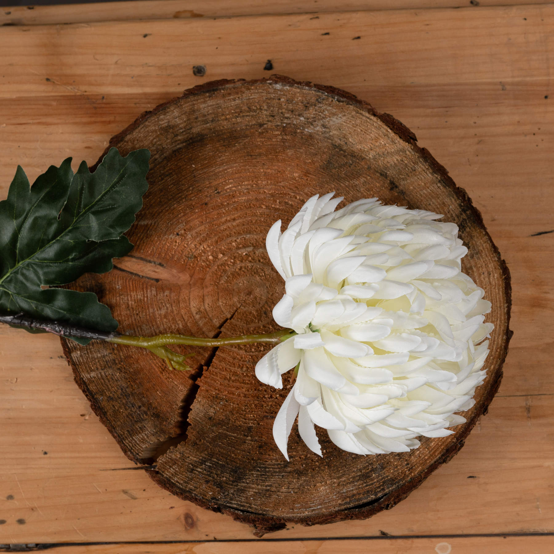 Large white chrysanthemum with spiraling petals and a green leaf, resting on rustic wooden log, showcasing elegant decor.