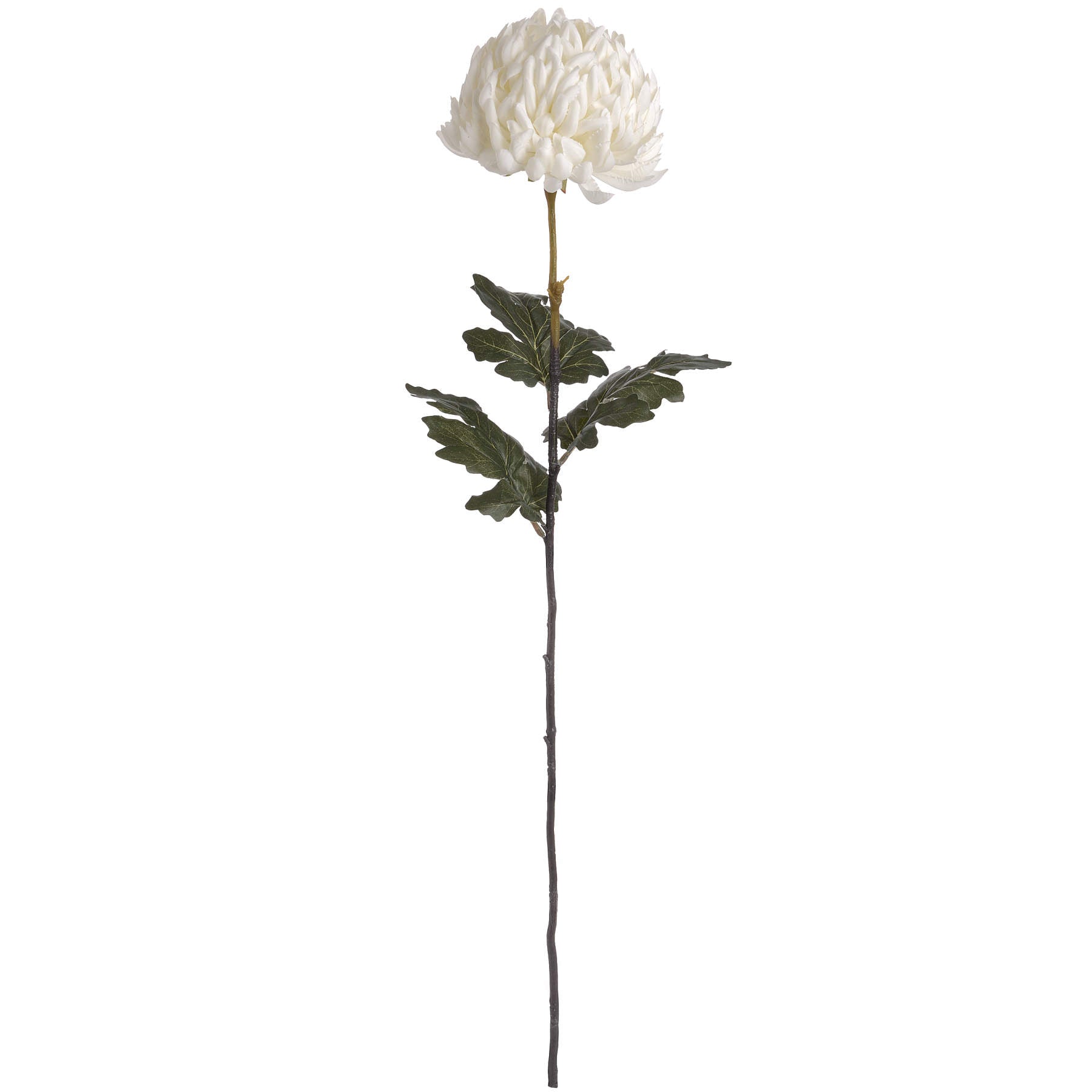 Large white chrysanthemum with realistic petals, green leaves, and a slender stem, perfect for elegant home decor.