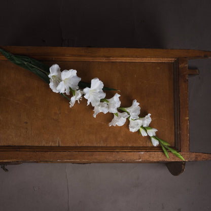 White Gladioli - Single Stem Flowers from the Quanta Home collection.