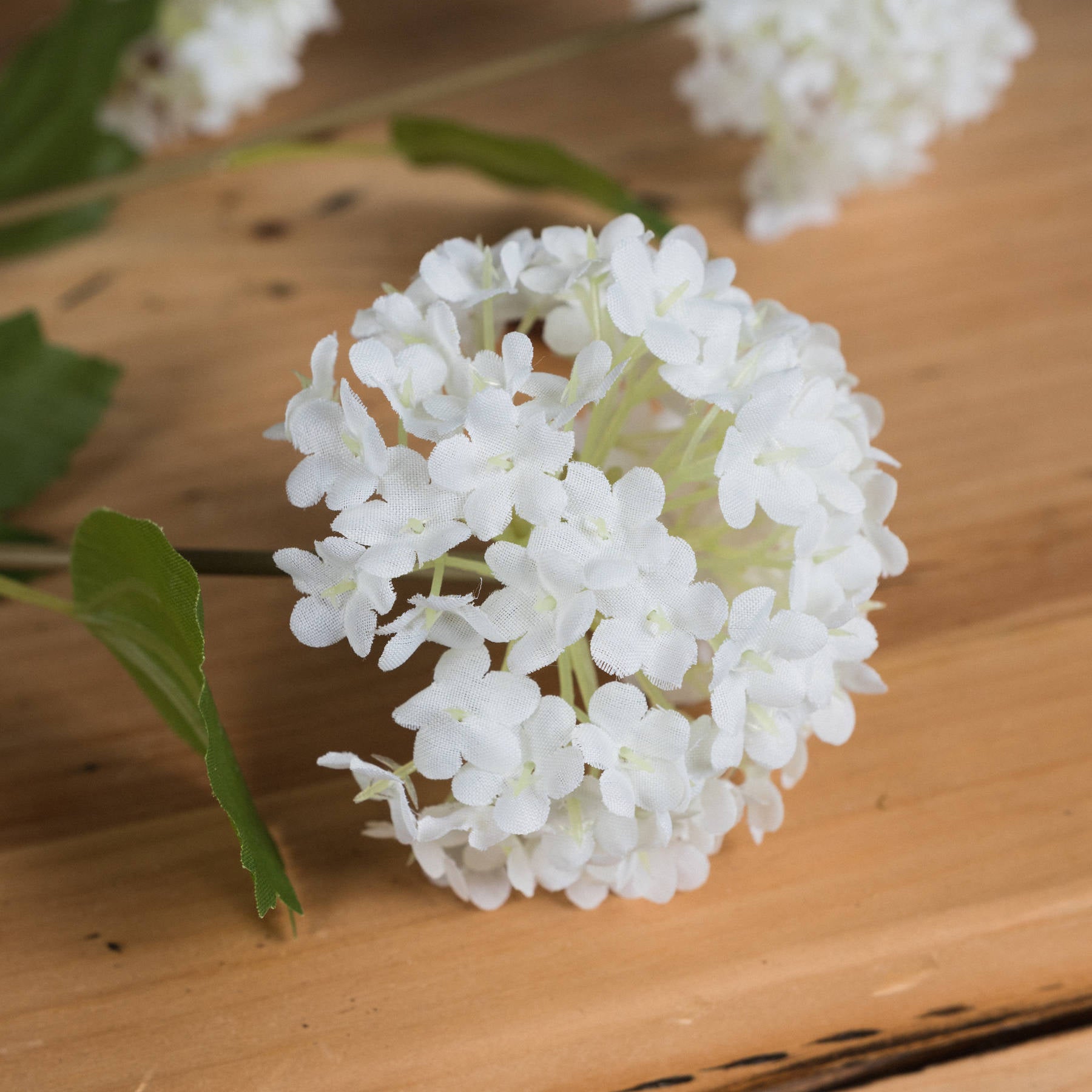 Lifelike white corymbs atop slender branches, complemented by green leaves, create elegant charm in a minimalist design.
