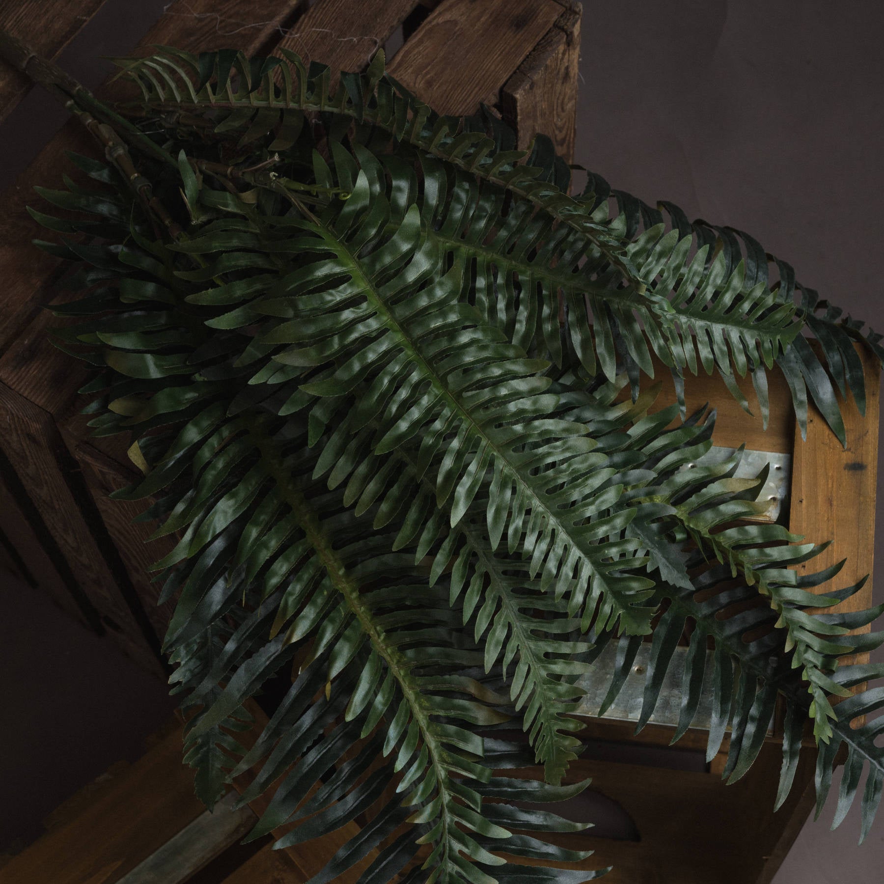 Fern Bunch - All Artificial Flowers from the Quanta Home collection.