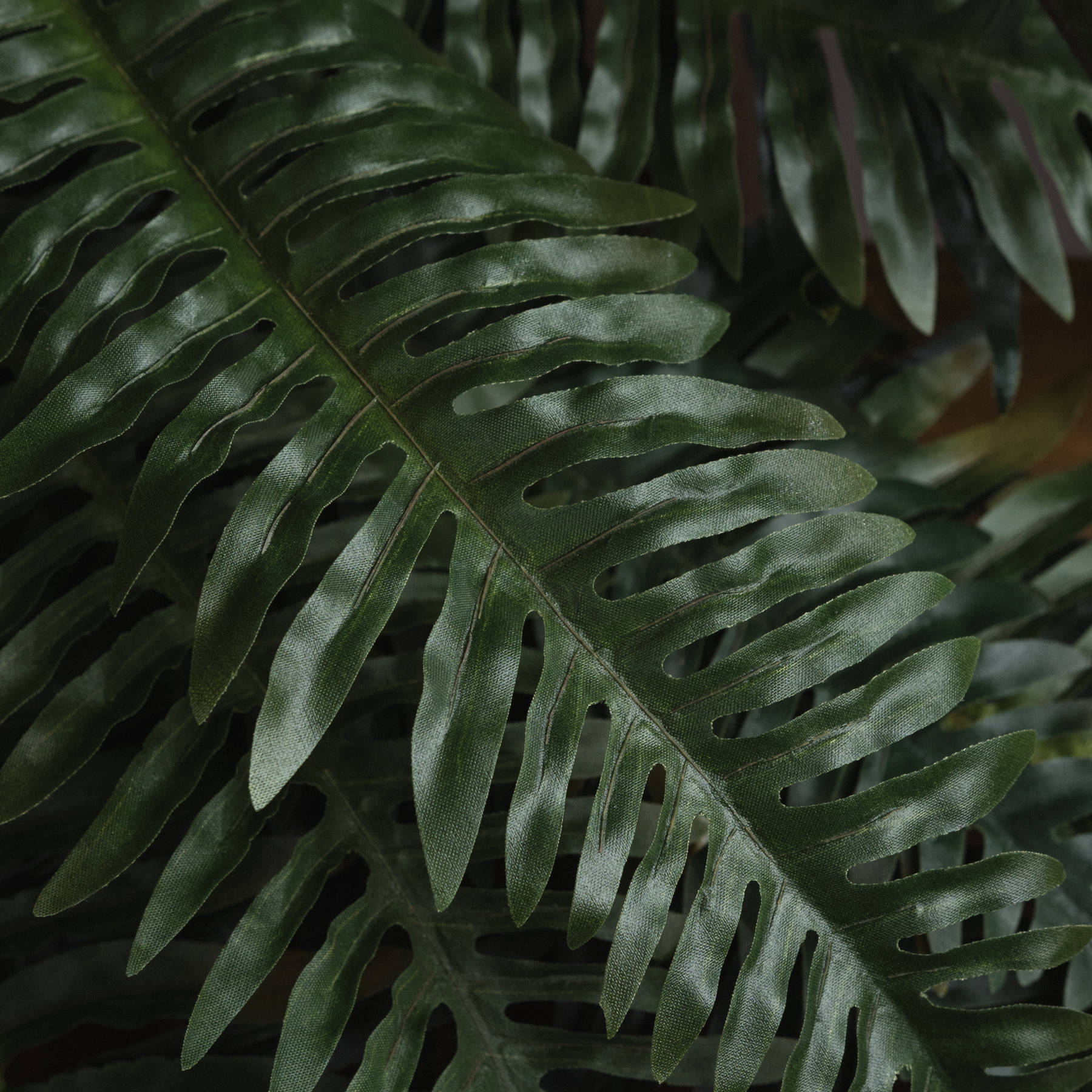 Fern Bunch - All Artificial Flowers from the Quanta Home collection.
