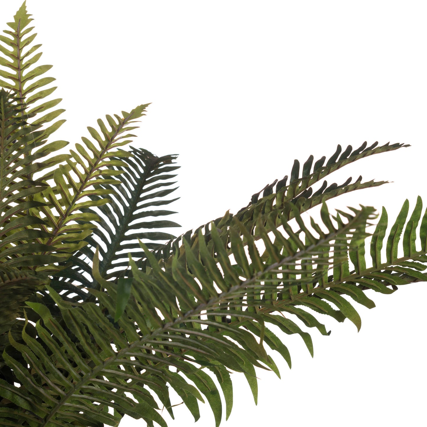 Fern Bunch - All Artificial Flowers from the Quanta Home collection.