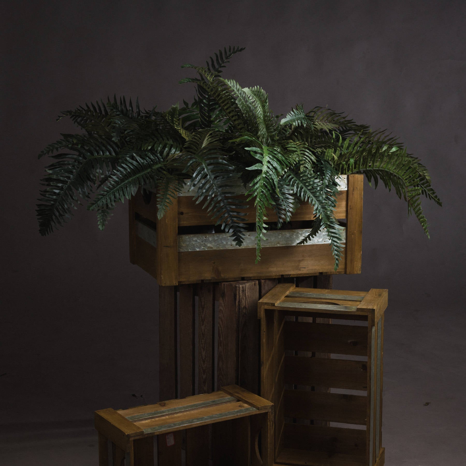 Fern Bunch - All Artificial Flowers from the Quanta Home collection.