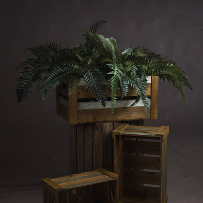 Fern Bunch - All Artificial Flowers from the Quanta Home collection.