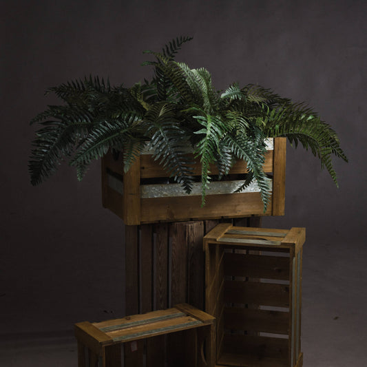 Fern Bunch - All Artificial Flowers from the Quanta Home collection.