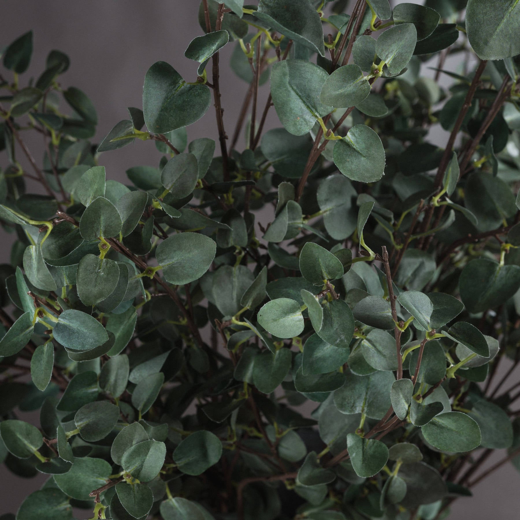 Tall Eucalyptus Stem - All Artificial Flowers from the Quanta Home collection.