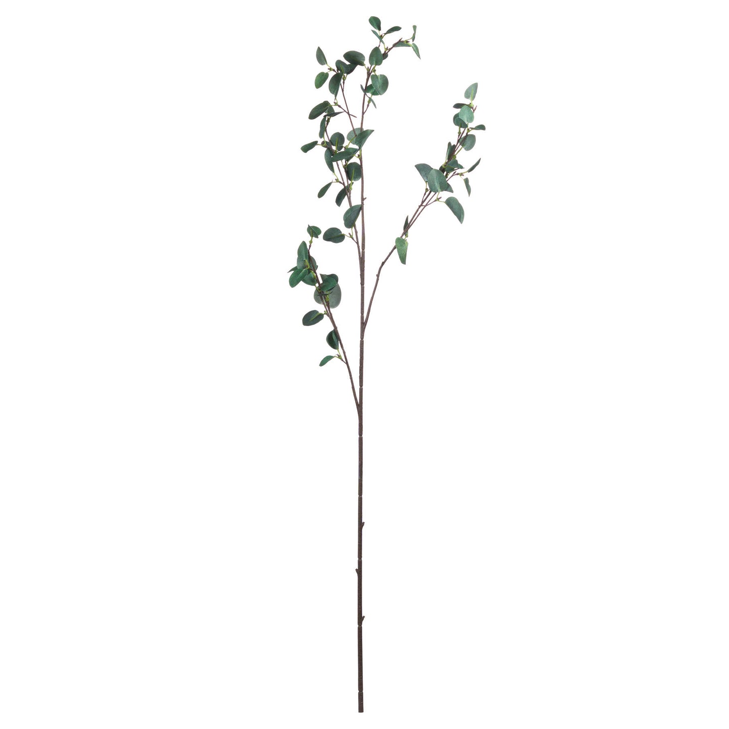 Tall Eucalyptus Stem - All Artificial Flowers from the Quanta Home collection.