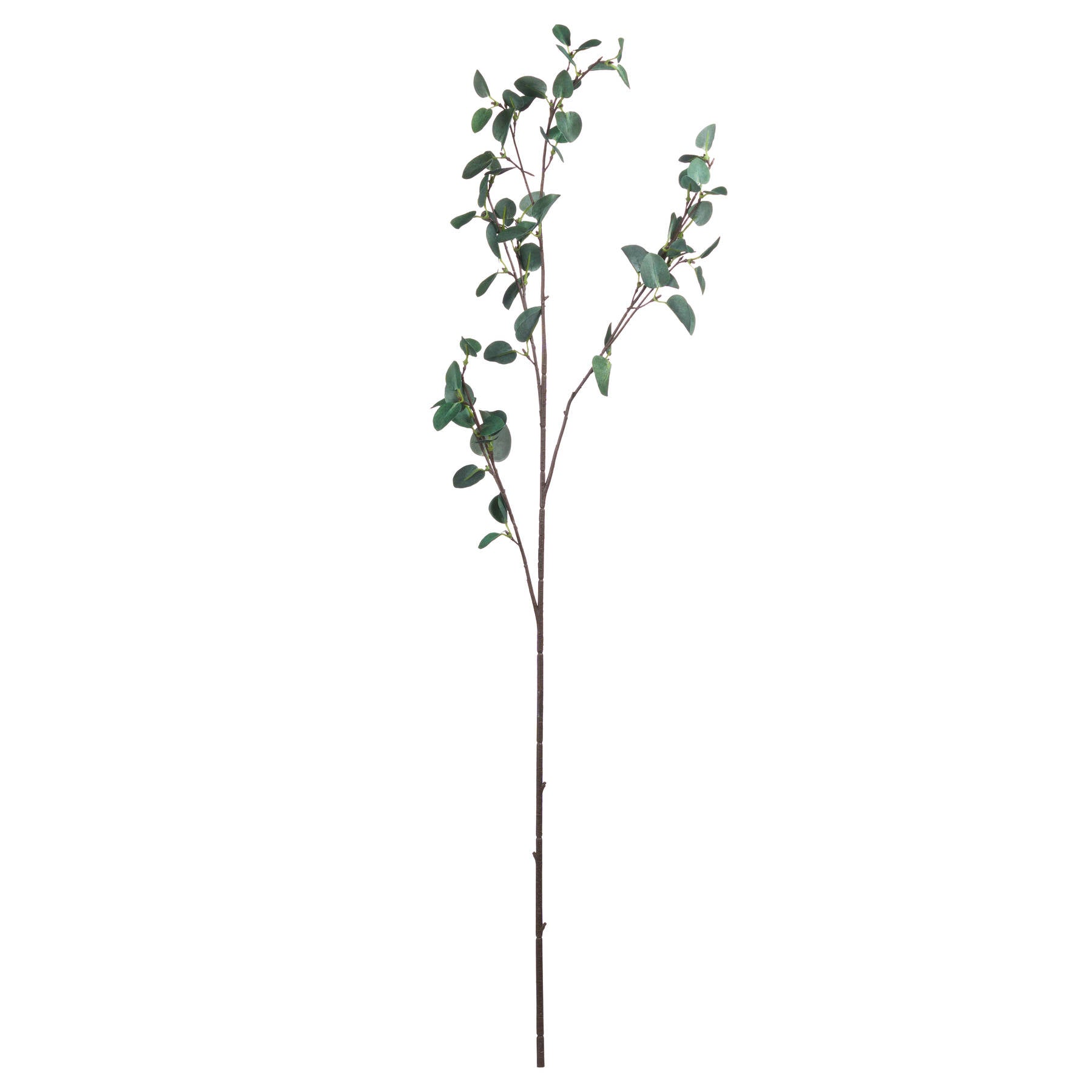Tall Eucalyptus Stem - All Artificial Flowers from the Quanta Home collection.