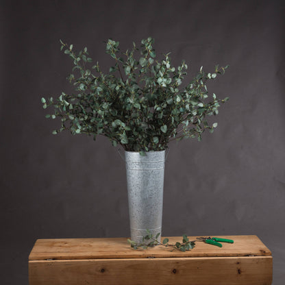 Tall Eucalyptus Stem - All Artificial Flowers from the Quanta Home collection.