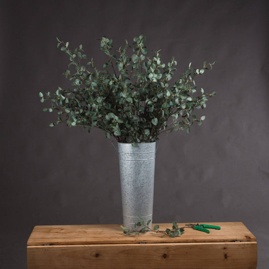 Tall Eucalyptus Stem - All Artificial Flowers from the Quanta Home collection.