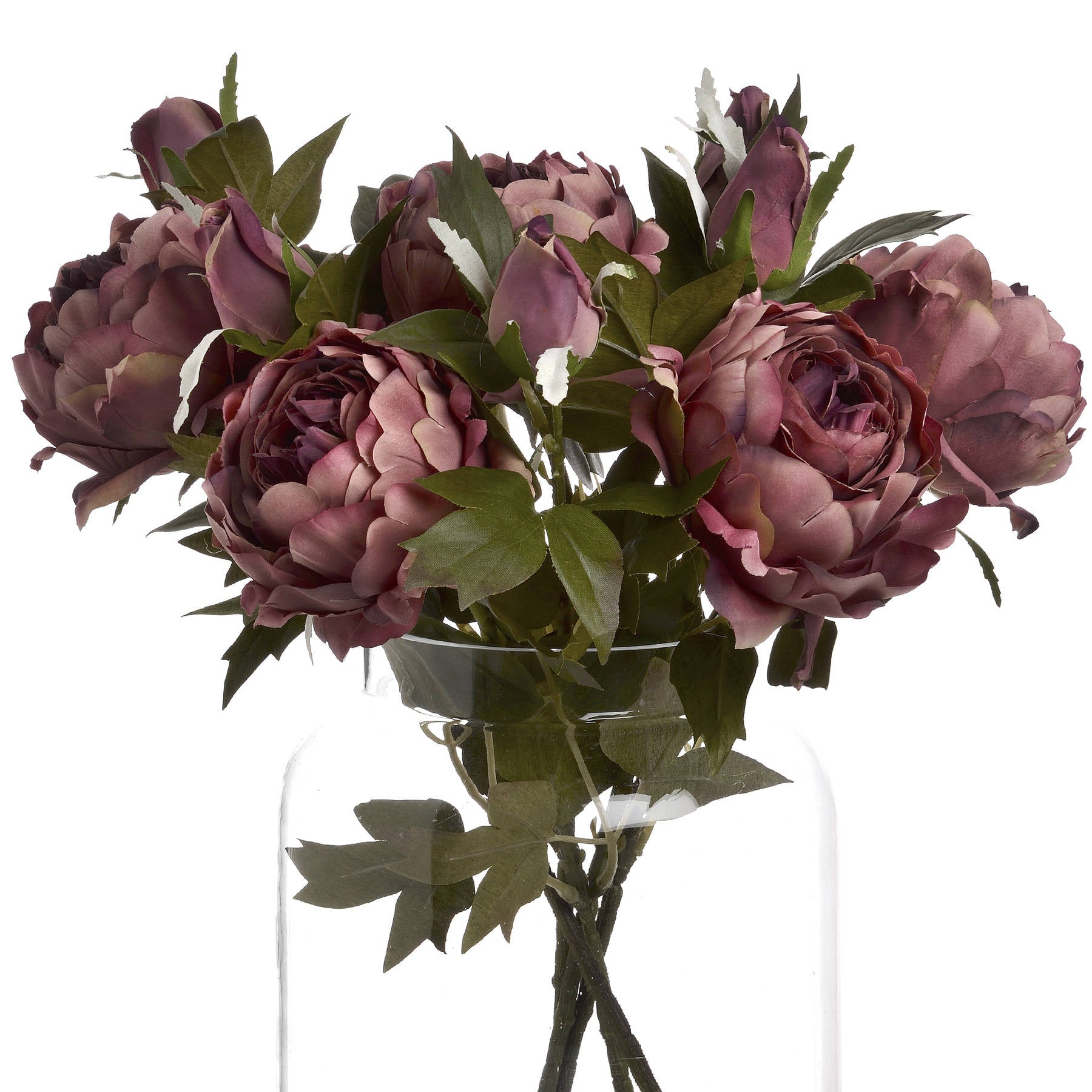 Dusty pink spray rose peonies with lush green leaves in a clear vase, showcasing elegant blooms and buds for sophisticated decor.