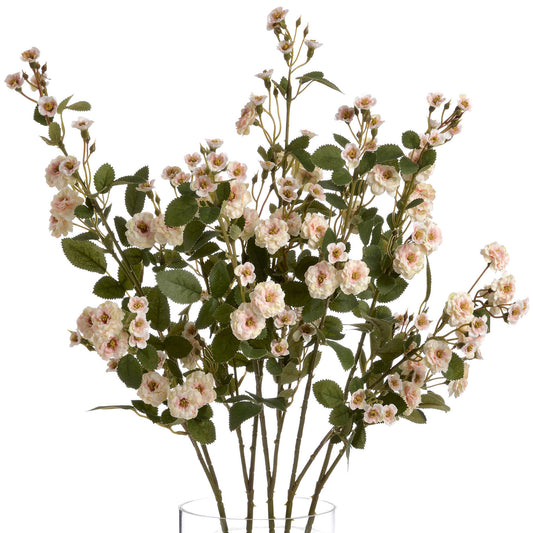 Delicate cream wild meadow roses with soft pink hues and lush green leaves, perfect for elegant floral arrangements.