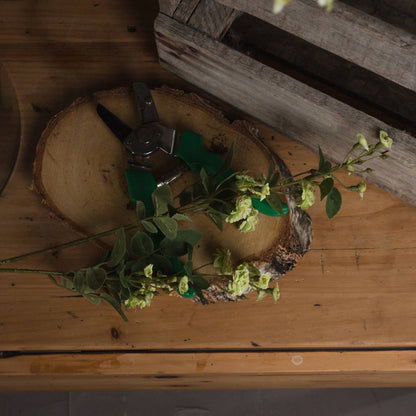 Green Wild Meadow Rose - Single Stem Flowers from the Quanta Home collection.