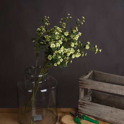 Green Wild Meadow Rose - Single Stem Flowers from the Quanta Home collection.