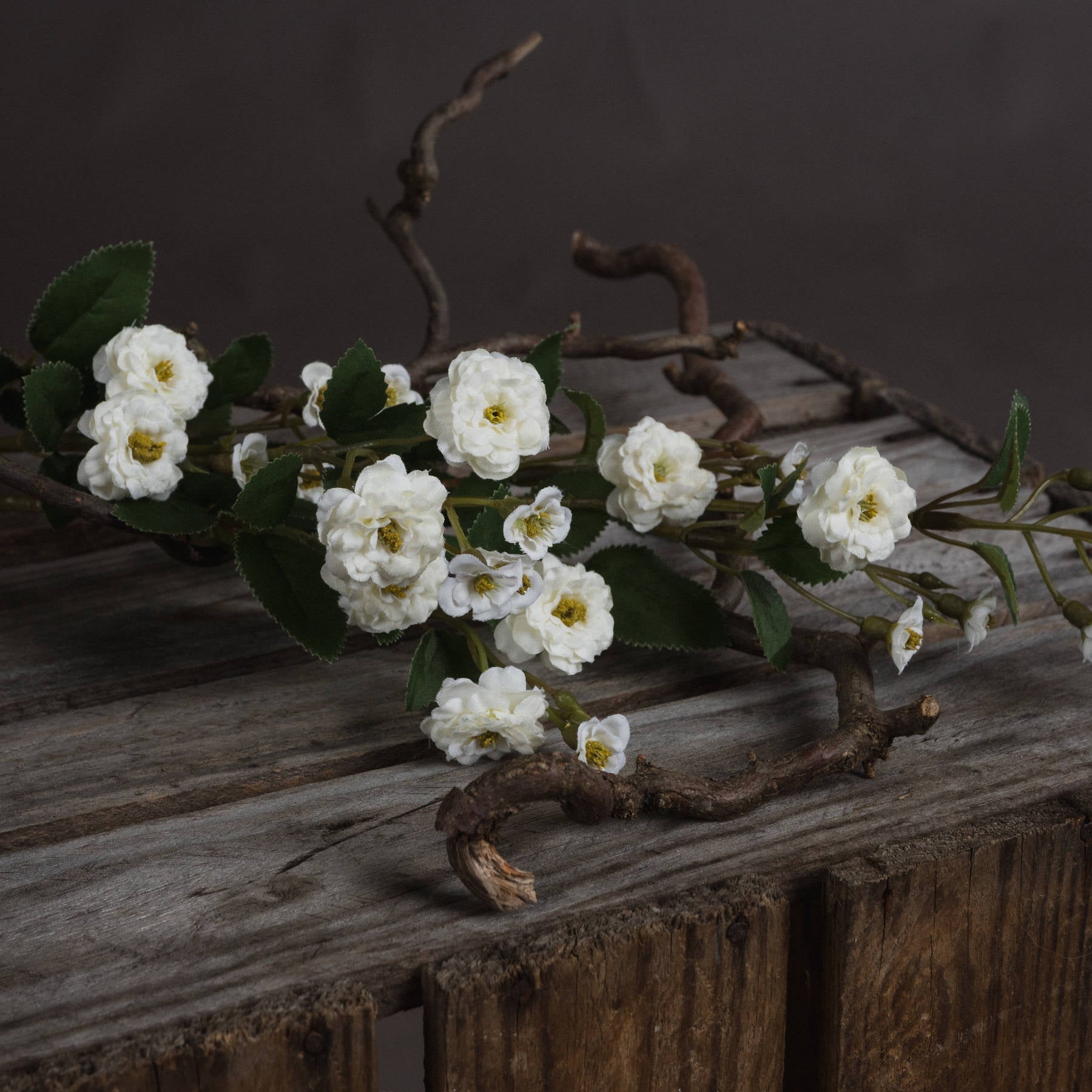 White Wild Meadow Rose - Single Stem Flowers from the Quanta Home collection.