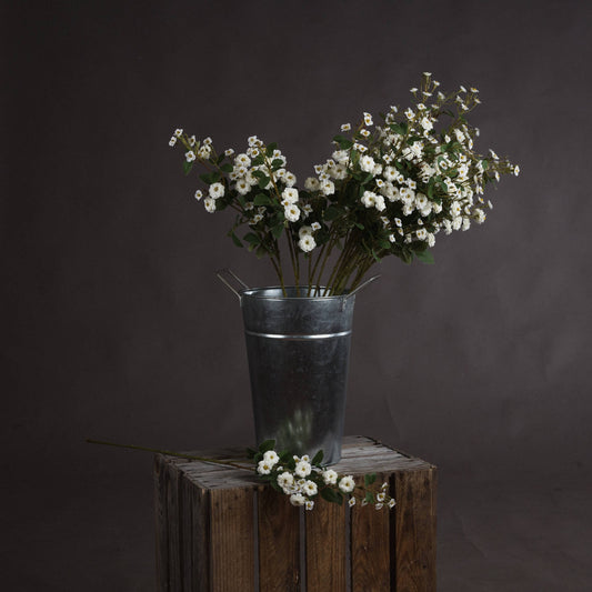 White Wild Meadow Rose - Single Stem Flowers from the Quanta Home collection.