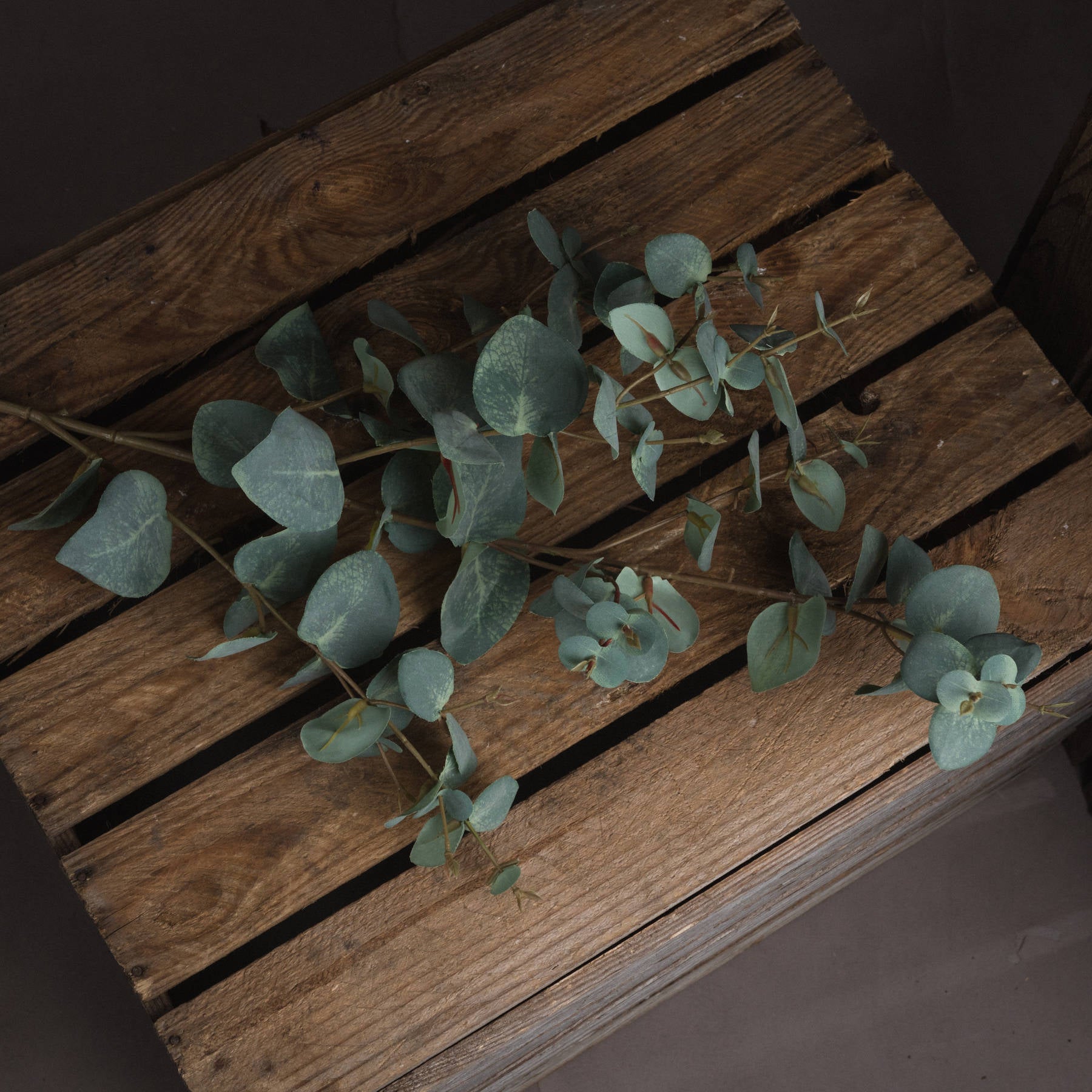 Variegated Eucalyptus - All Artificial Flowers from the Quanta Home collection.