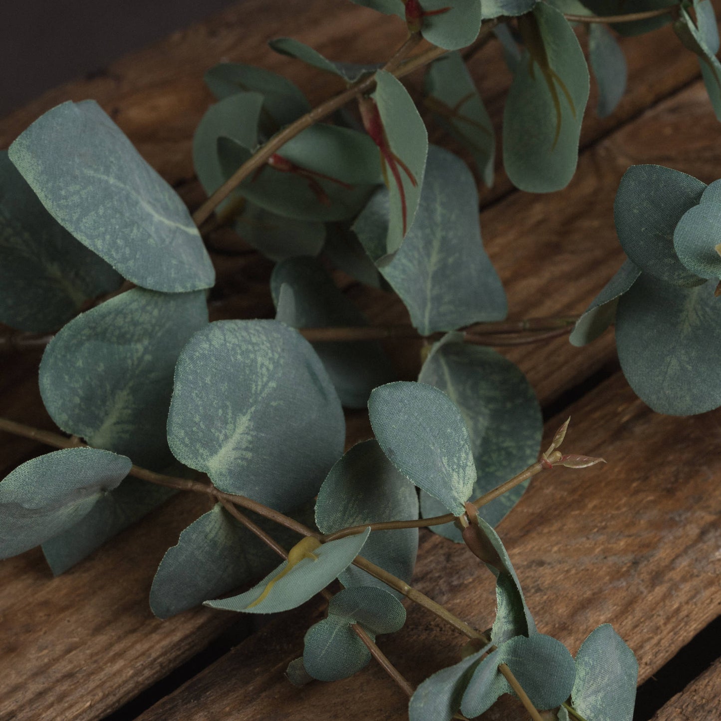 Variegated Eucalyptus - All Artificial Flowers from the Quanta Home collection.