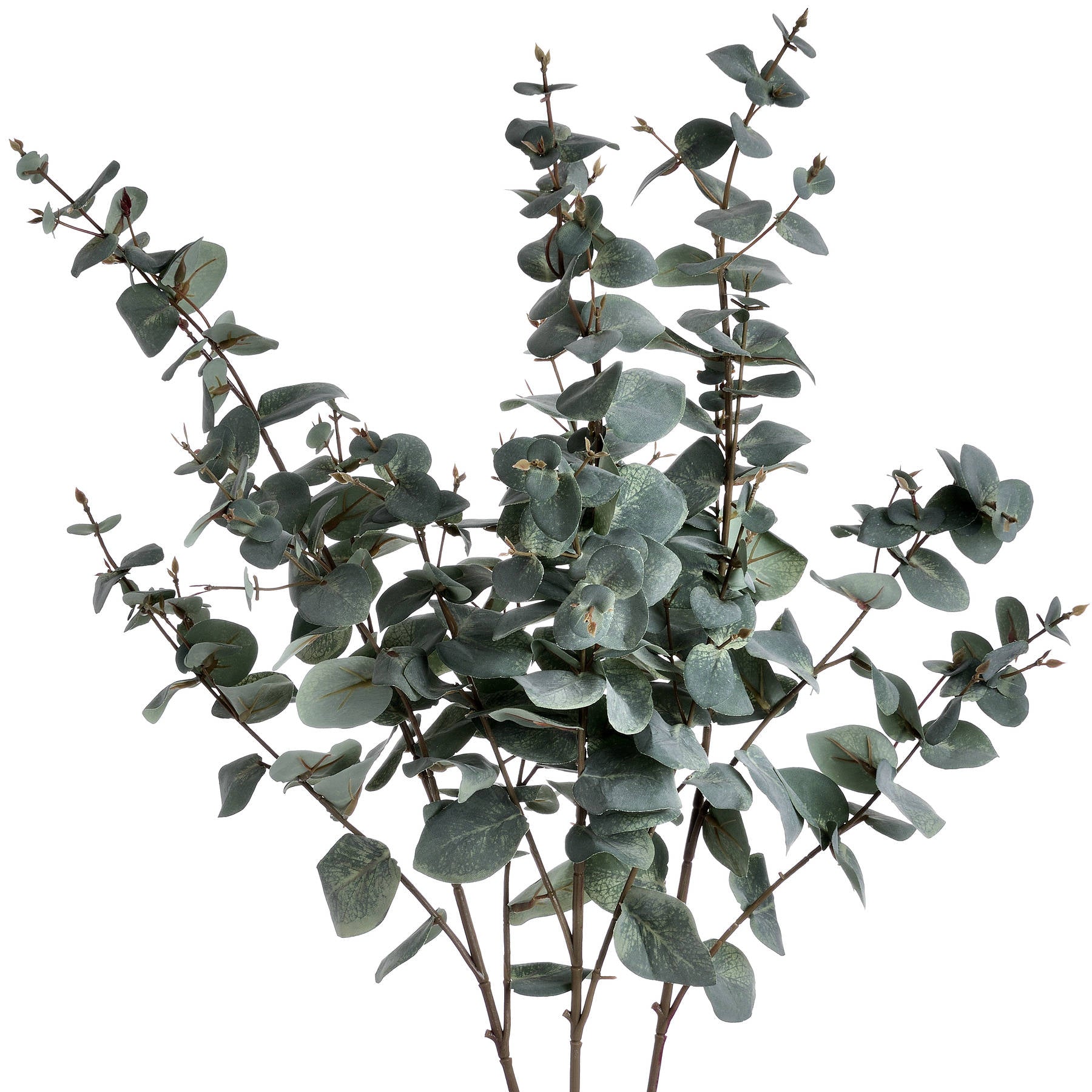 Variegated Eucalyptus - All Artificial Flowers from the Quanta Home collection.