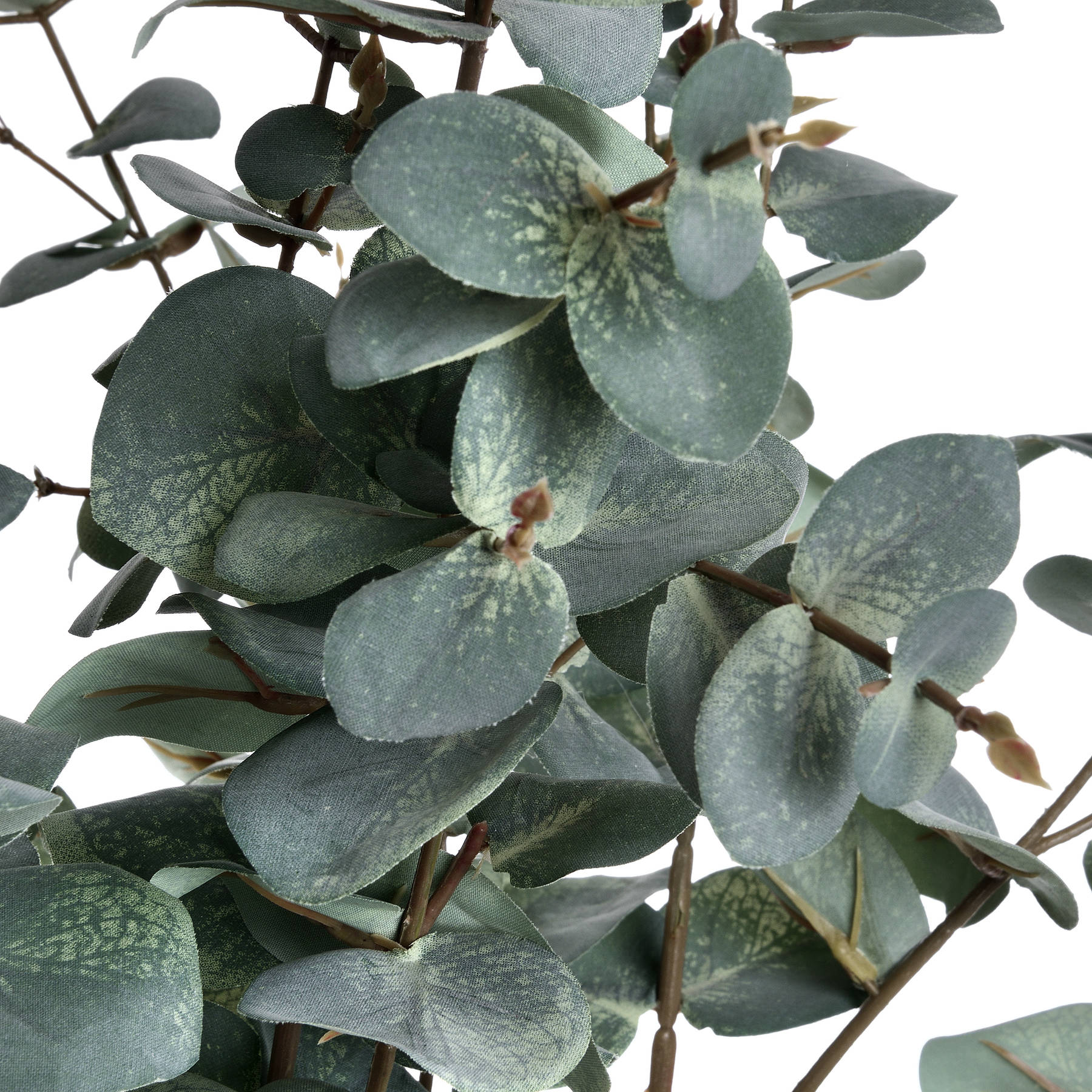 Variegated Eucalyptus - All Artificial Flowers from the Quanta Home collection.