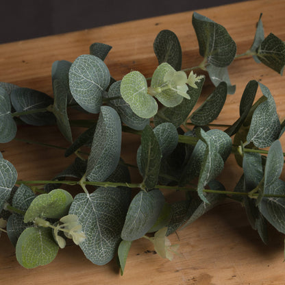 Eucalyptus Spray - Single Stem Flowers from the Quanta Home collection.