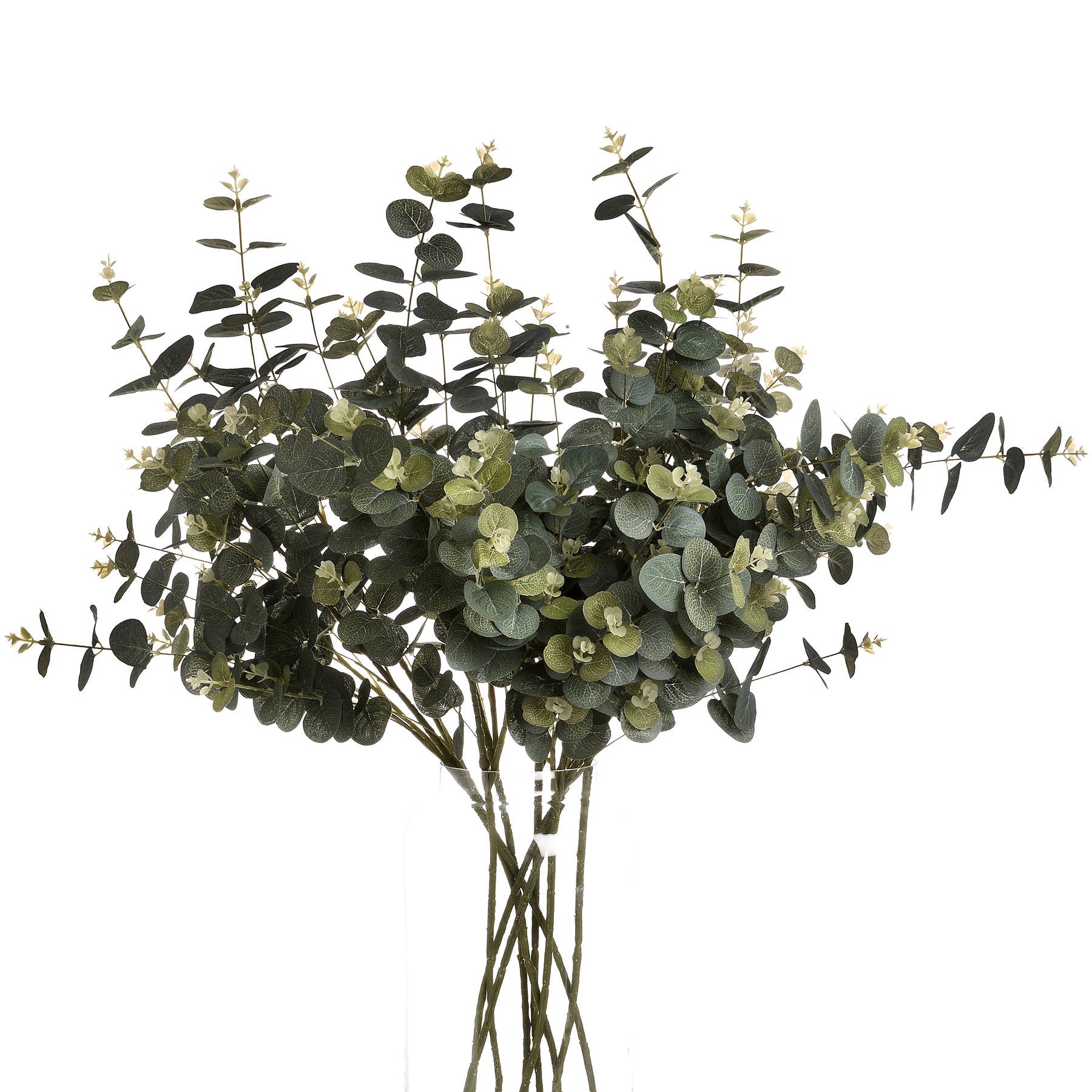 Eucalyptus Spray - Single Stem Flowers from the Quanta Home collection.