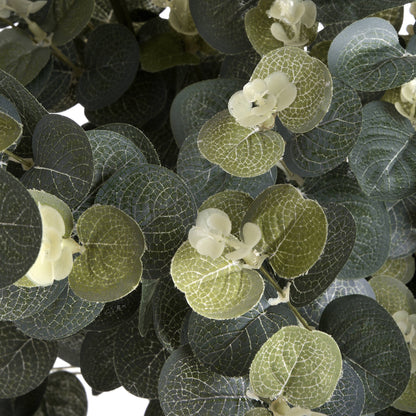 Eucalyptus Spray - Single Stem Flowers from the Quanta Home collection.