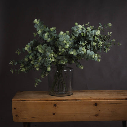 Eucalyptus Spray - Single Stem Flowers from the Quanta Home collection.