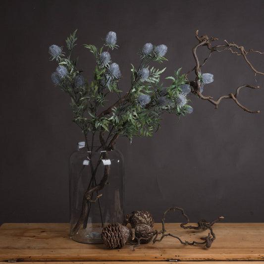 Eryngium Thistle - Single Stem Flowers from the Quanta Home collection.