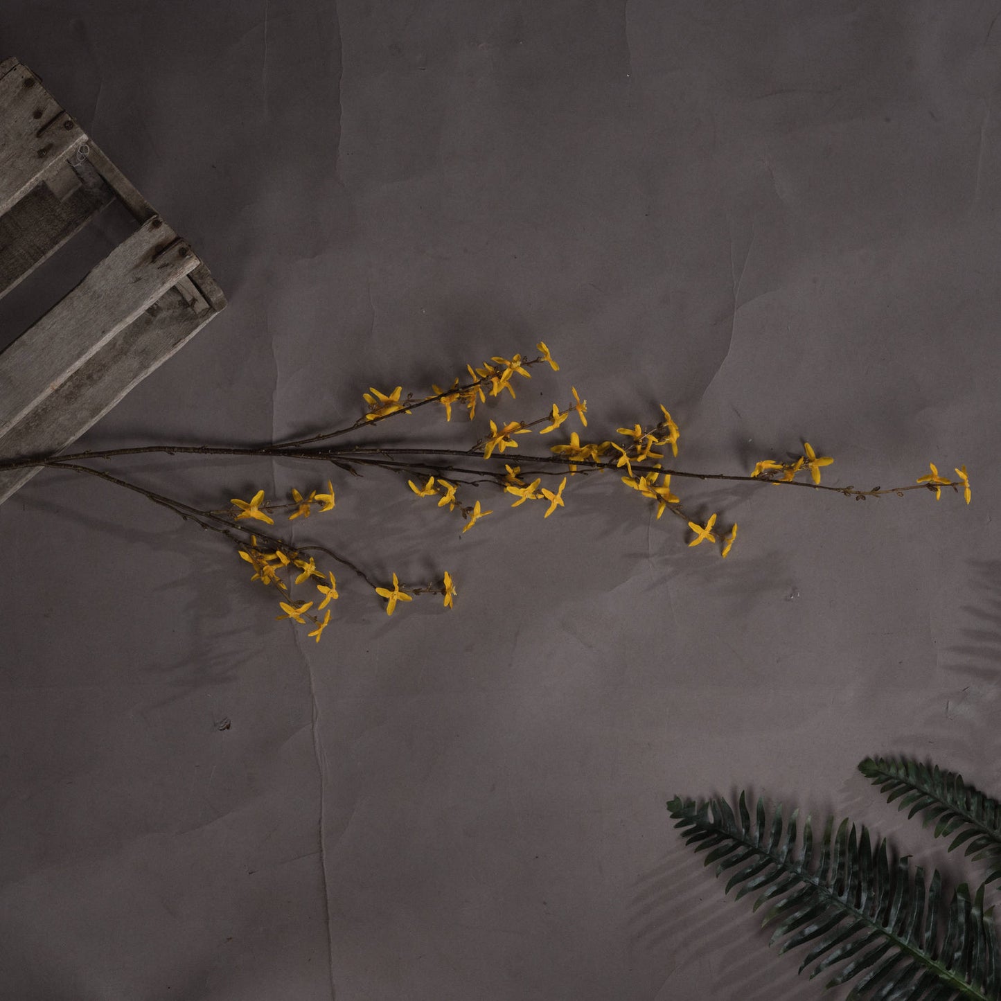 Delicate yellow forsythia blooms on a slender stem against a textured gray backdrop, exuding seasonal warmth and elegance.