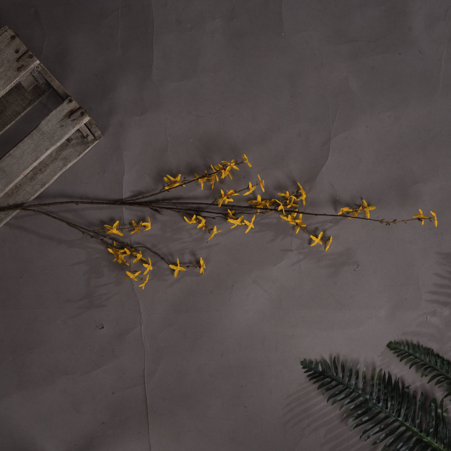Delicate yellow forsythia blooms on a slender stem against a textured gray backdrop, exuding seasonal warmth and elegance.