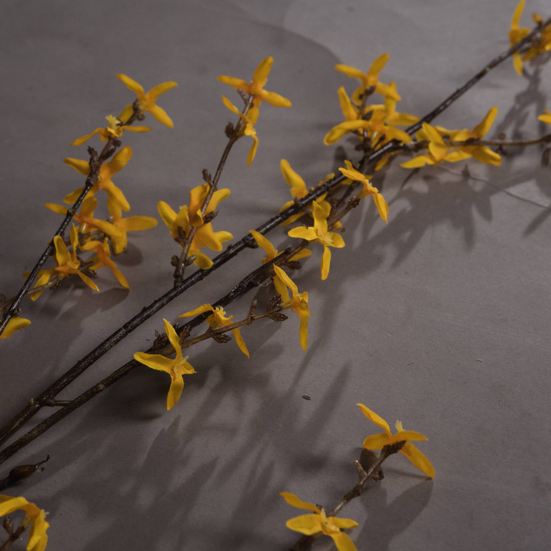 Lifelike yellow forsythia stems with delicate blooms and textured branches, set against a soft gray background.