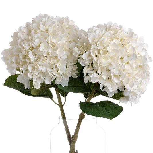 Oversized white hydrangea blooms with lifelike petals and green leaves, elegantly enhancing any decor in a glass vase.