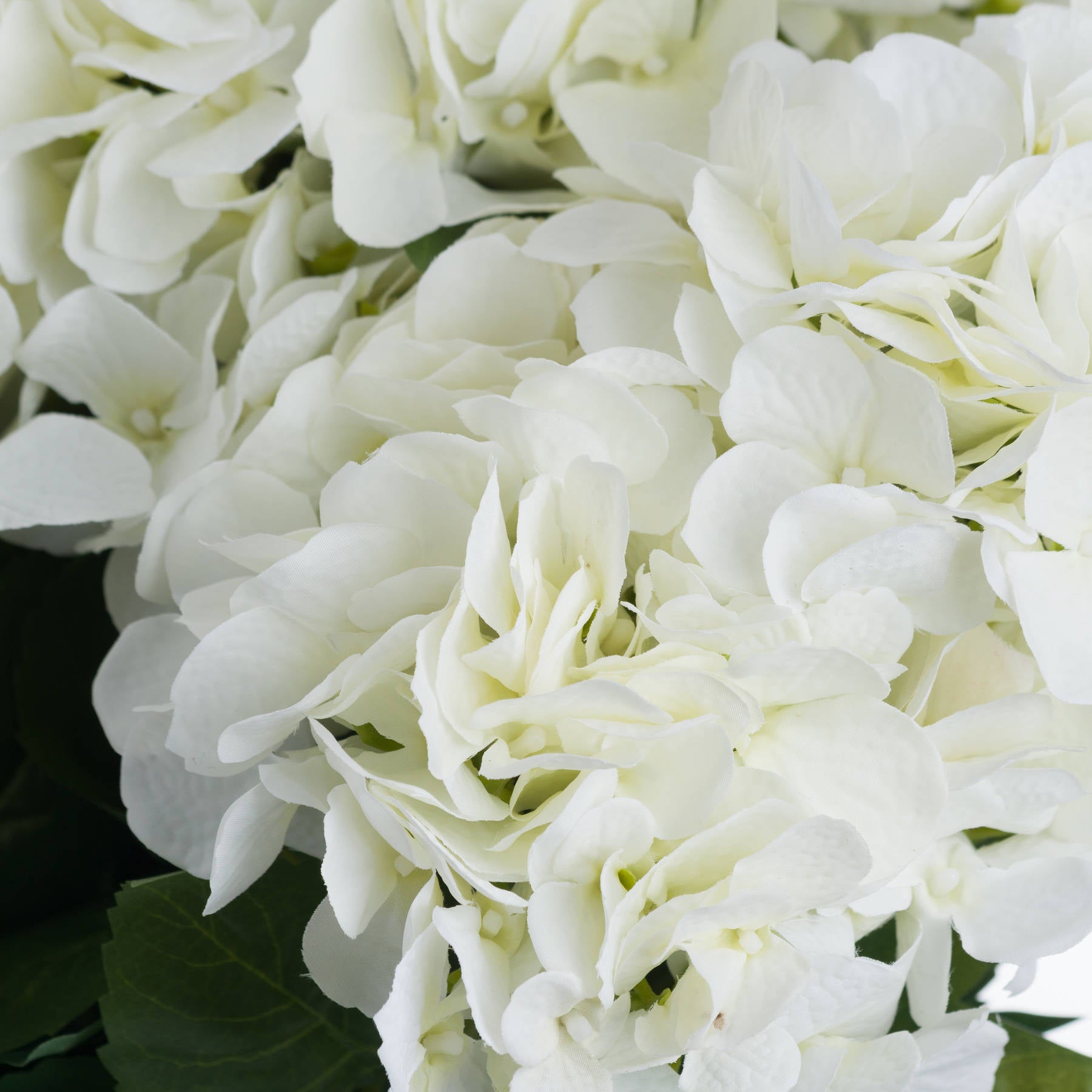 Lifelike white hydrangea bouquet featuring multiple bloom clusters, enhancing decor with elegant sophistication and minimal upkeep.